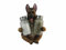 DWK Tierhalter mit Salz- und Pfefferstreuer Set (3-teilig) | Küchendekor und Zubehör | Salz- und Pfefferstreuer | Wohnkultur | Wohnkultur … Deutscher Schäferhund