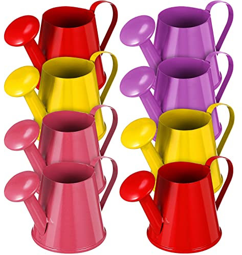 Toddmomy Lot de 12 mini arrosoirs décoratifs en métal pour photos (S12Y405PK1OB18F)