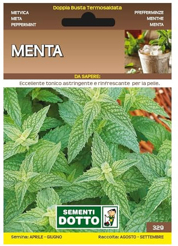 Sicignano | Semi Menta, Pianta Aromatica Perenne, Busta Extra - 1 Confezione da 0.26g, Ideale per Piatti e Bevande Fresche, Utile come Aromatizzante, Pianta da Vaso