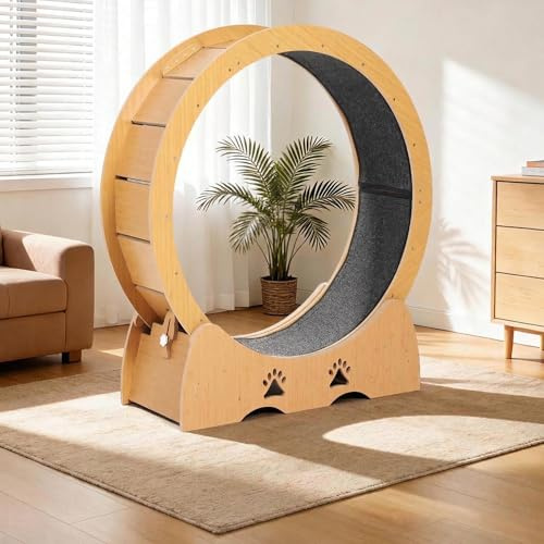 Laufrad Katze für Stubentiger 100 cm, Super Leises Katzenlaufrad mit Waschbarer Teppich, Spielchen & Sicherheitsverriegelung, Perfekt für Alle Katzengrößen