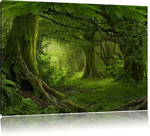 Pixxprint Dschungel im Regenwald, Größe: 80x60cm, Leinwandbild, fertig gespannt, Wandbild, Dekoration, Kunstdruck, kein Poster