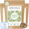 Graviola Kapseln - 6 Monate Vorrat - Natürlicher Frucht Extrakt - Wohlbefinden Stoffwechsel - Vegan und glutenfrei - von MoriVeda - 3x120 Stück