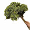 5pcs Artificial Retro Color Hydrangea Flower Branch Faux Hydrangea Macrophylla for Wedding Centerpieces Home Party Floral Arrangement (Green)