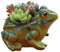 MOTUZP Kleine Sukkulentententöpfe, Mini-Frosch-Pflanzgefäß aus Kunstharz oder Outdoor-Pflanzen, Garten-Frosch-Figur für Terrasse, Balkon, Hof, Rasen, Gartendekoration (#1), lustige, einzigartige