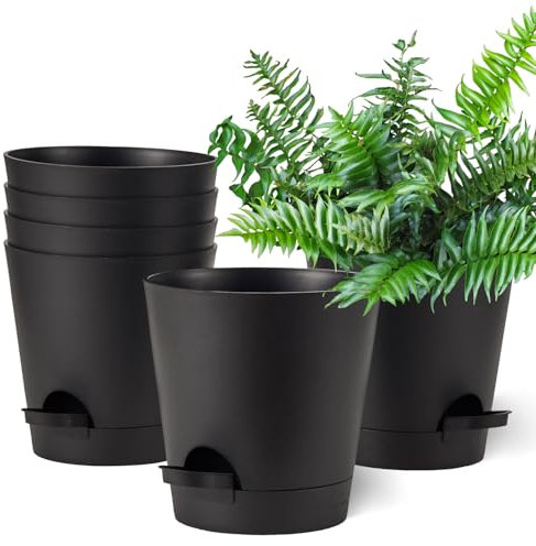 Gardrium Vaso da fiori in plastica con sottovaso, 15,2 cm, set da 6 vasi per erbe aromatiche con diversi fori di scarico, rotondi, per interni e balconi, cactus, nero
