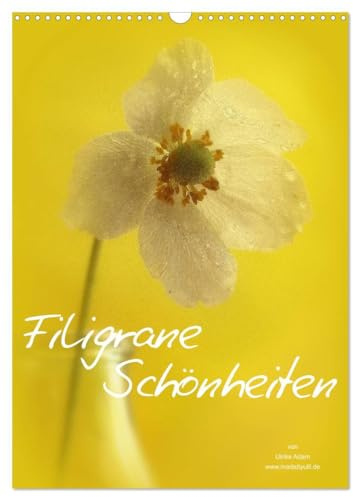 Filigrane Schönheiten 2026 (Wandkalender 2026 DIN A3 hoch), CALVENDO Monatskalender: Filigrane Schönheiten unserer Natur (CALVENDO Natur)