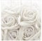 Bilderwelten Schiebegardinen Weiße Rosen - 4 Flächenvorhänge Ohne Aufhängung, 4X 250 x 60cm