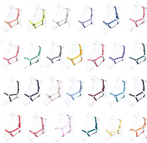 HKM by Reiterladen24 - Halfter unterlegt BASICLINE dunkelblau Pony