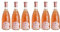 Rosenwein Rosa dei Frati Riviera del Garda Classico Doc - Weingut Cà dei Frati [ 6 FLASCHEN x 750ml ]