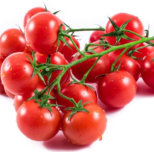 Tomato Plants - 'Sweet Million' - 6 x Plug Plant Pack - Tomatoes - Garden Ready - Ready to Plant - Premium Quality Vegetables