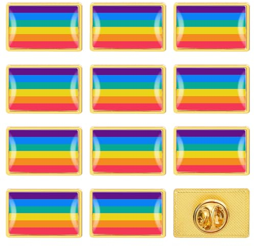 12 pièces Gay Pride Broche, Drapeau Arc-en-Ciel Pride Pins pour LGBT, Pride Accessoires pour Revers