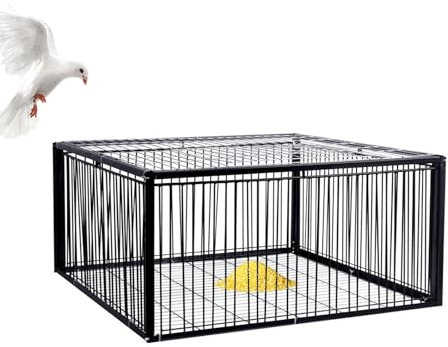 MBBTAG Piege A Fouine, Piège Pigeon, Nasse A Rat, Cage Piège À Animaux Piège À Pigeons Piege, Piège À Pigeons Avec Conception Anti-évasion, Pigeonnier Avec Entrée À Sens Unique, Facile À Assembler(Noi