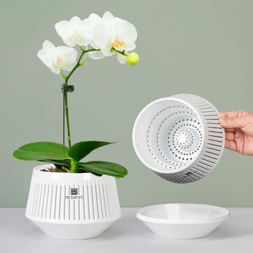 Meshpot 12 cm Orchid Pots with Holes for Repotting,Set of 1,Decorative Orchid Planter with Air-Pruning and Good Air Circulation,Plastic White Orchid Container with Saucers