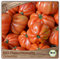 Samenliebe BIO Fleischtomaten Samen Canestrino Tomate rot 10 Samen samenfestes Gemüse Saatgut für Gewächshaus Freiland und Balkon BIO Gemüsesamen