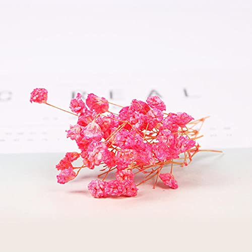 DIY Machen duftendes Wachs Stück Aromatherapie Dekoration Velas Kerze Herstellung liefert Tee 3D Blume stirbt Weihnachtsblume Diesflowers-Starry rosa 3g