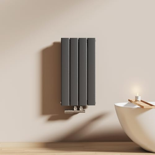 EMKE Radiateur à Eau Chaude 60x30 cm, Radiateur plat Double couche connexion centrale, Montage mural vertical design, Anthracite