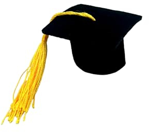 Mini Graduation Caps Bottle Toppers, Table Decorations for Graduation Parties (Yellow/gold tassel)