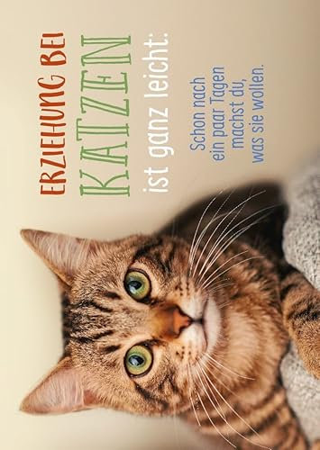Gutsch Verlag Tier-Postkarte mit lustigem Katzen-Motiv - 'Erziehung bei Katzen ist ganz leicht' - Humorvolle Postkarte für Katzenliebhaber, um Freude zu teilen