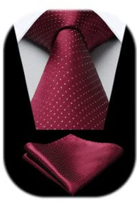 HISDERN Krawatten Für Herren Gepunktete Klassische Taschentuch Formelle Elegant Krawatte & Einstecktuch Set Für Hochzeit Party Business (Burgund)