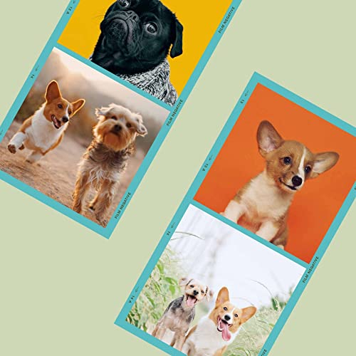 Deluxe Background for Funny Puppies