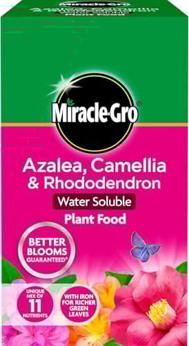 Evergreen Azalea, Camellia & Rhododendron Soluble Plant Food 1kg – Specialized Feed for Acid-Loving Plants – Promotes Vibrant Blooms & Lush Foliage