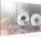 Runa Art Wandbilder Pusteblume Bild XXL Wohnzimmer Schlafzimmer Türkis Grau Blumenwiese 120 x 80 cm 3 Teilig 023631b