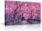 TISHIRON Quadri in fiore di ciliegio rosa per soggiorno, arte giapponese Sakura su tela, decorazione da parete per casa, paesaggio naturale, decorazione moderna da parete per ufficio, grande