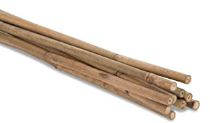 Novatool 100 Stück Tonkinstäbe 120 cm I ø 8-10 mm I Braun I Tonkinstab Bambus Stangen Bambusrohre Pflanzenstange Pflanzenhilfe Bambusstäbe Stäbe für Pflanzen