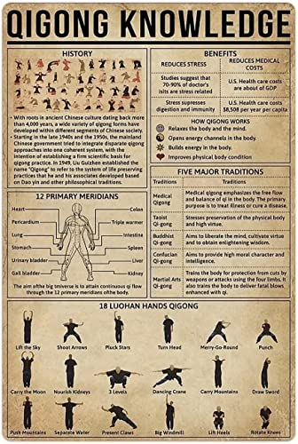 fifbird Qigong Wissen, Metall-Blechschilder, Vintage-Wandkunst, Dekoration, Lern-Infografik-Poster, Leitfaden, Zuhause, Küche, Café, Pub, Männerhöhle, lustige Wandtür-Dekoration, 20,3 x 30,5 cm