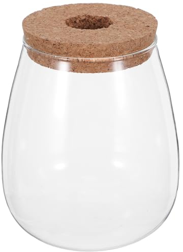 DECOMELODY Lot de 2 Vases en Verre Hydroponiques avec Bouchon en Liège et Plateau en Bambou, Grands Récipients pour Propagation des Plantes D’intérieur, pour Culture Racinaire et Décoration