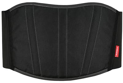 BLACKWILD - Cintura per la schiena e la schiena | Fascia per la perdita di peso e protezione sportiva, motociclismo, ciclismo, sollevamento pesi, palestra e altro ancora (L)