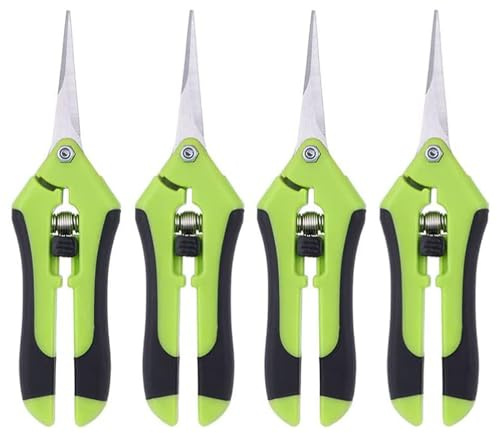 Bhina 4 Stück Gartenschere 16,5cm Ernteschere mit Geraden Edelstahlklingen und Feststellgriff, Blütenschere Trimmschere Pflanzenschere Zweigschere für Zweige, Blumen, Früchte, Pflanzen (Grün)