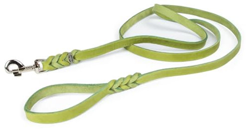 CopcoPet - Hundeleine Grün 2,5 m x 15 mm aus hochwertigem Rindsleder - Weiche Fettlederleine mit Chrom Karabiner - Geflochtene Führleine für Hunde - Hunde Zubehör 100% Handmade in Germany