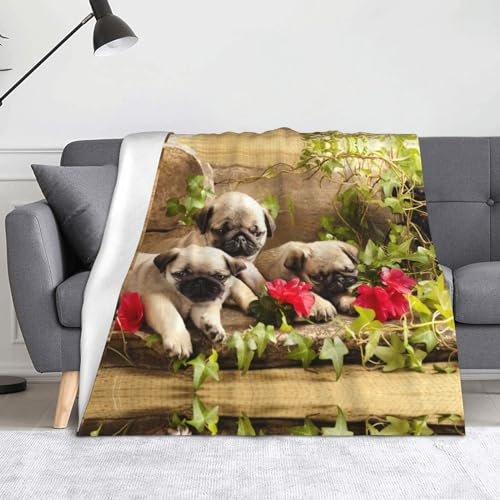 LAMAME Weiche Decke mit Mops-Motiv, warme Decke