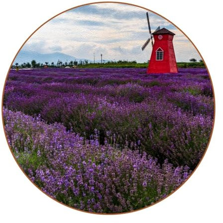 Lavender Manor Untersetzer für Getränke, 6 Stück, Leder, rund, zum Schutz von Möbeln, hitzebeständig, Küche, Bar, Dekor
