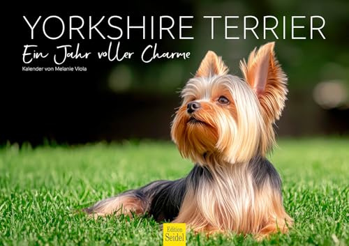 Edition Seidel Premium Kalender Yorkshire Terrier Ein Jahr voller Charm 2026 Format DIN A3 Wandkalender Hundekalender Tiere Hund Welpe Haustier Melanie Viola
