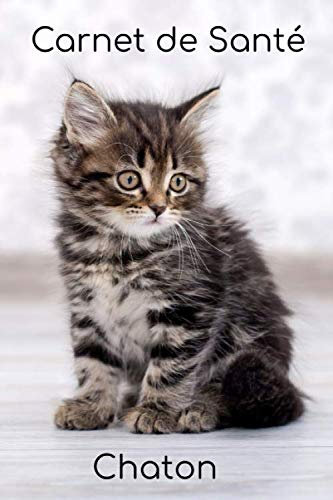Carnet de Santé Chaton: Carnet de santé pour consultation vétérinaire | Taille idéale : 120 pages | Suivi médical pour votre chat, chaton ou animal de compagnie | Dossier Félin