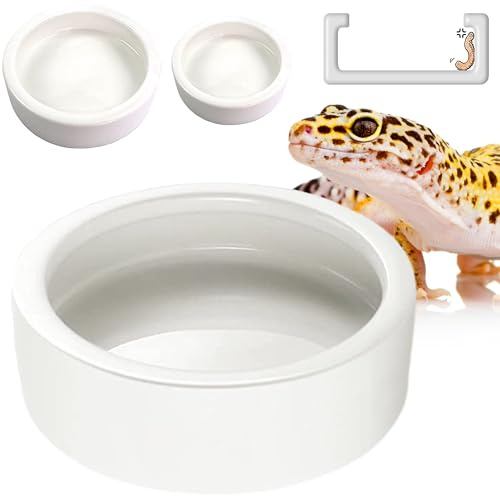Reptile Worm Bowl - Anti-Escape Ceramic Worm Bowl Feeder for Lizard, Leopard Gecko, Beard Dragon, Chameleon, Skink, Tegu, Snake, Mealworm, Superworm, Dubia Cockerns (Large, White)