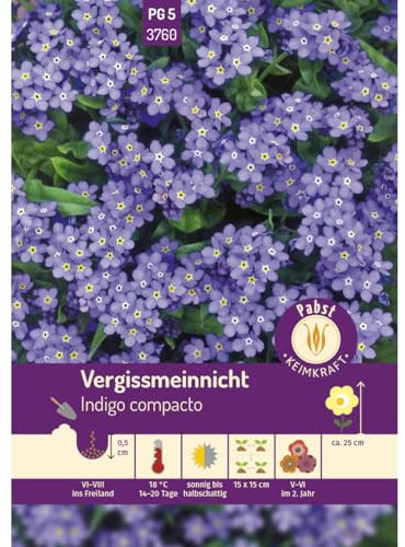 Pabst Keimkraft - Vergißmeinnicht Indigo compacto Samen - 173760