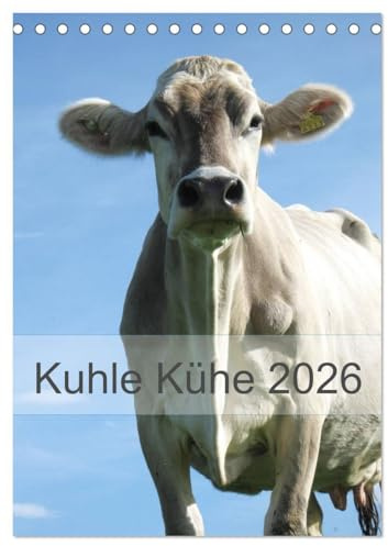 Kuhle Kühe 2026 (Tischkalender 2026 DIN A5 hoch), CALVENDO Monatskalender: Monat für Monat begleiten uns Kühe durch das Jahr (CALVENDO Tiere)