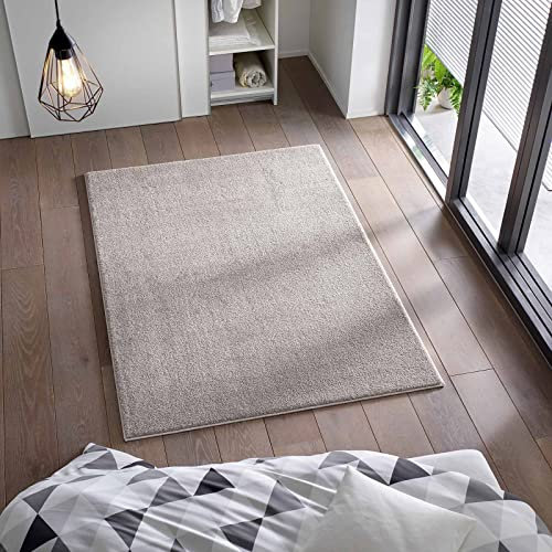 Taracarpet Kurzflor Flachgewebe Teppich für Wohnzimmer, Kinderzimmer und Schlafzimmer Einfarbig Uni Grau Silber 160x220 cm