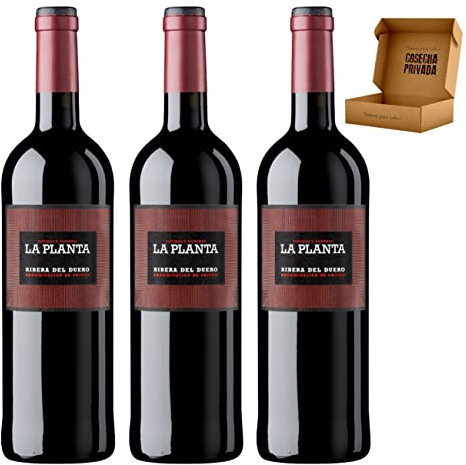 Arzuaga - Envío Gratis 24 H - Vino Tinto Ribera del Duero -Vino Regalo - Cosecha Privada (3 x Botella 75 cl, Roble - La Planta)