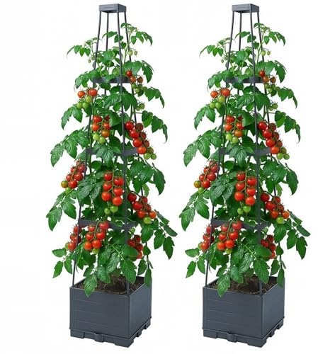 Warmiehomy 2 Packs Raised Garden Bed, Plastic Tomato Planters with Trellis, Self-Watering Tomato Cages for Climbing Plants, Vegetables, Flowers, 28 x 28 x 140 cm, Black