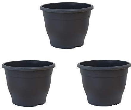 Patio pots for Plants Dark Grey Made of durable garden plastic 32cm Planter by Thompson and Morgan (3)