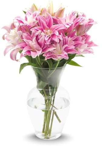 Stargazer Barn – 10 Stem Rose Lily Bouquet (Vase Included) - Hand-Tied in the USA - Fresh Flower Delivery for Birthday, Anniversary, Sympathy, Home Decor, Wedding, Mother's Day