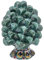 sicilia bedda - Pigna Siciliana con Piede Decorato - Modello Maioliche - Ceramica di Caltagirone (Altezza 12 x 8, Verde)