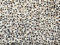 Leder Teppich 160x230 cm 100% Kuhfell Ivory Compatible with Braun Beige Echtleder Patchwork L4