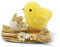 Netuno 1x Osterhuhn gelb auf Sockel Oster-Deko Osterhühner Deko Figur Huhn Osterhahn Küken Oster-Henne Ostergeschenk Frühlingsdeko Tischdeko für Ostern Osterdekoration Hausdeko