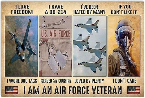 SMAZDFXX Metallschild „I Am An Air Force Veteran, Vintage-Stil, Bürodekoration, Piloten-Poster, Plakette, Home Club Room, Wanddekoration, 20,3 x 30,5 cm