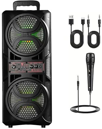 Alivio Portable Dual 6.5 Wireless Bluetooth Speaker with Mic, FM Radio, USB & AUX (Black)